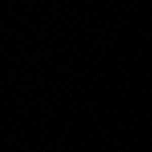 Meet your Posher, Lynn